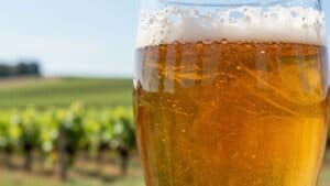 Craft beer glass with vineyards in background