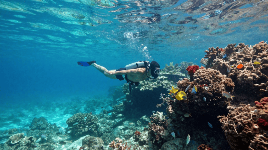 Scuba diver swimming horizontally above a vibrant coral reef with tropical fish