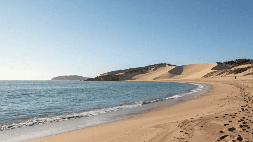 Gentle blue sea along a sandy beach with large dune ridges under a clear sky.
