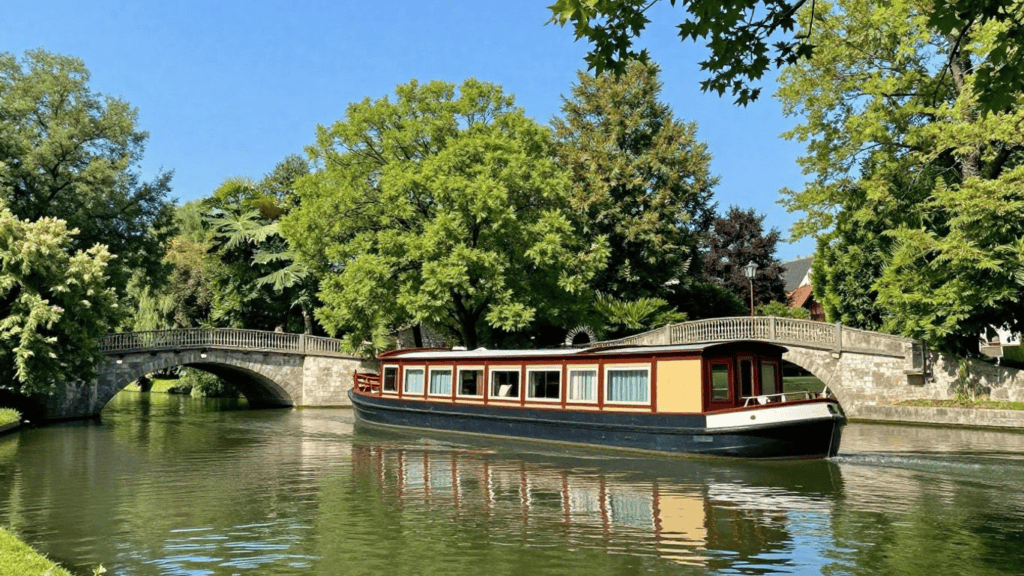 A colorful canal boat gliding under a stone arch bridge with lush green trees on both banks against a blue sky, calm water reflecting the scene.