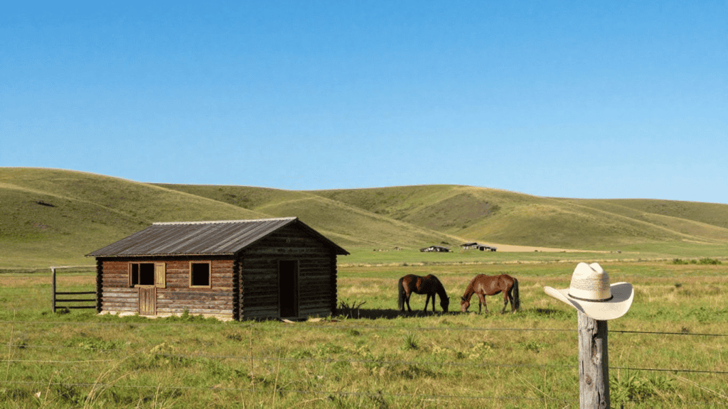 Rustic log cabin in a grassy field with two horses grazing and a cowboy hat on a fence post in the foreground, under a blue sky.