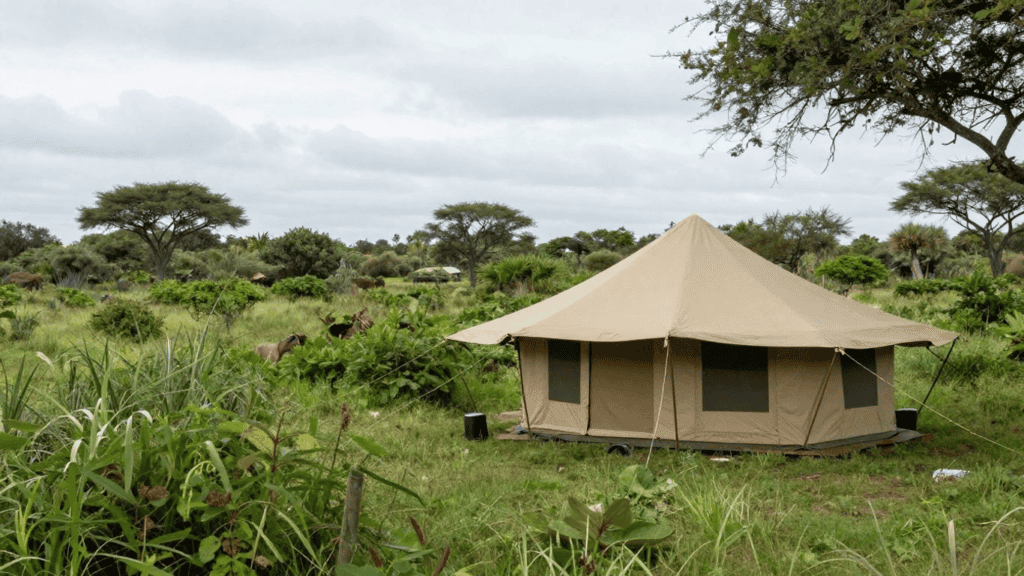 Beige canvas safari tent pitched on a grassy savannah with scattered trees in the background, windows visible on the sides.
