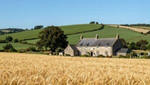 Norman brewery in France with barley fields