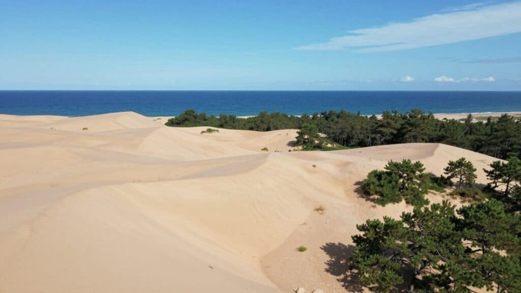 where to stay Dune du Pilat