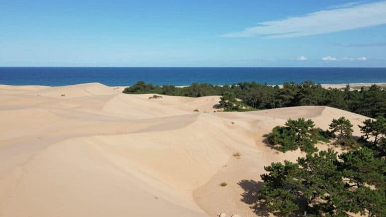 where to stay Dune du Pilat